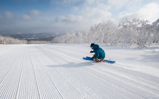 Skier on a groomed slope in Niseko with snow-covered trees in the background.