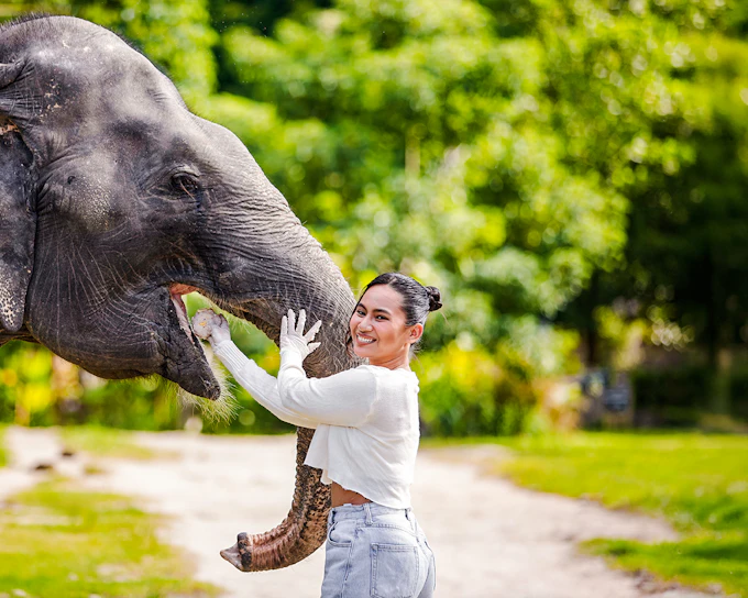 Bukit Elephant Park: Observe and Feed Guided Tour with Optional Transfers