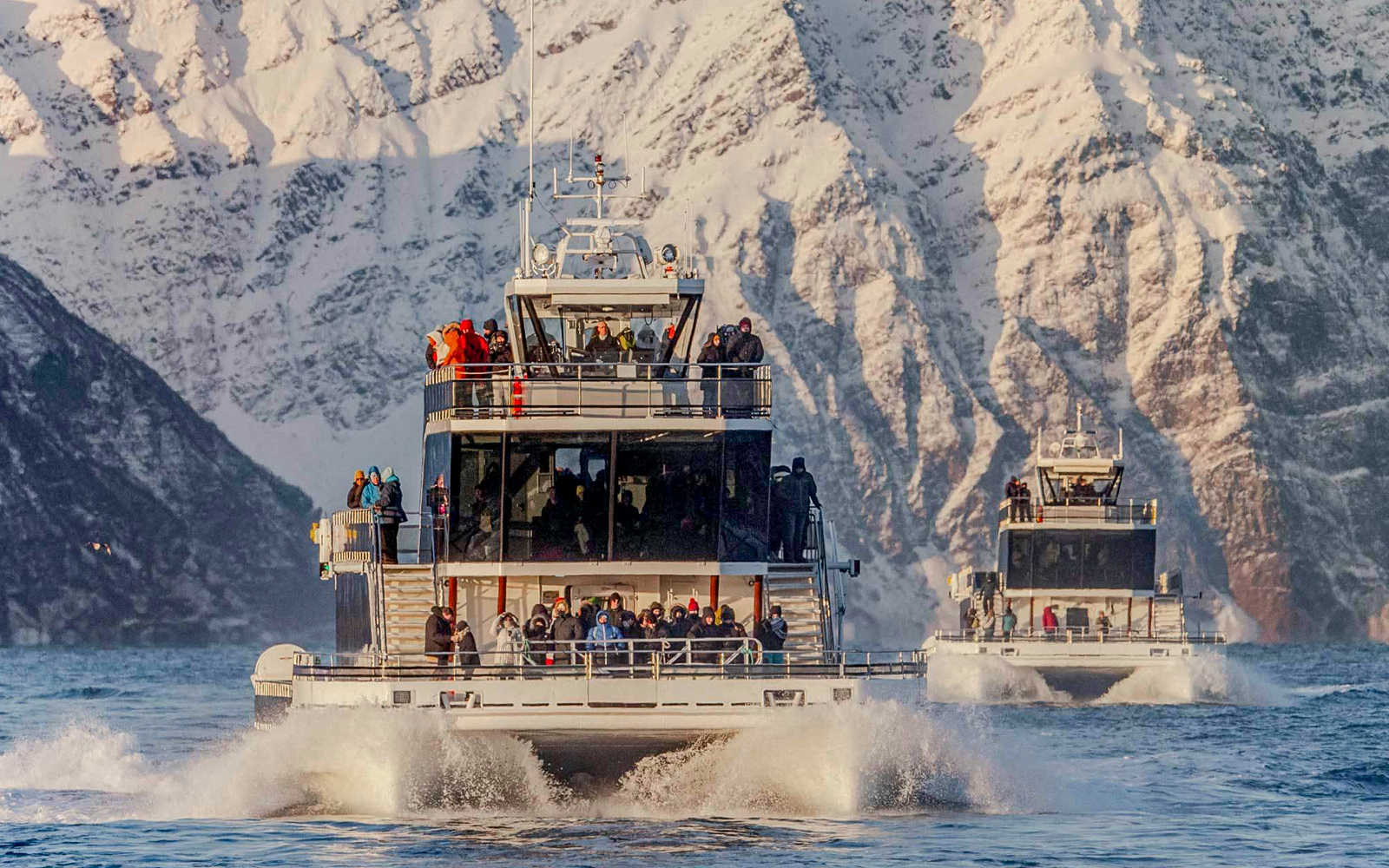 https://cdn-imgix.headout.com/media/images/40e03384640cd81077a2b80103b45d58-29459-tromso-full-day-silent-whale-watching-hybrid-electric-cruise-09.jpg
