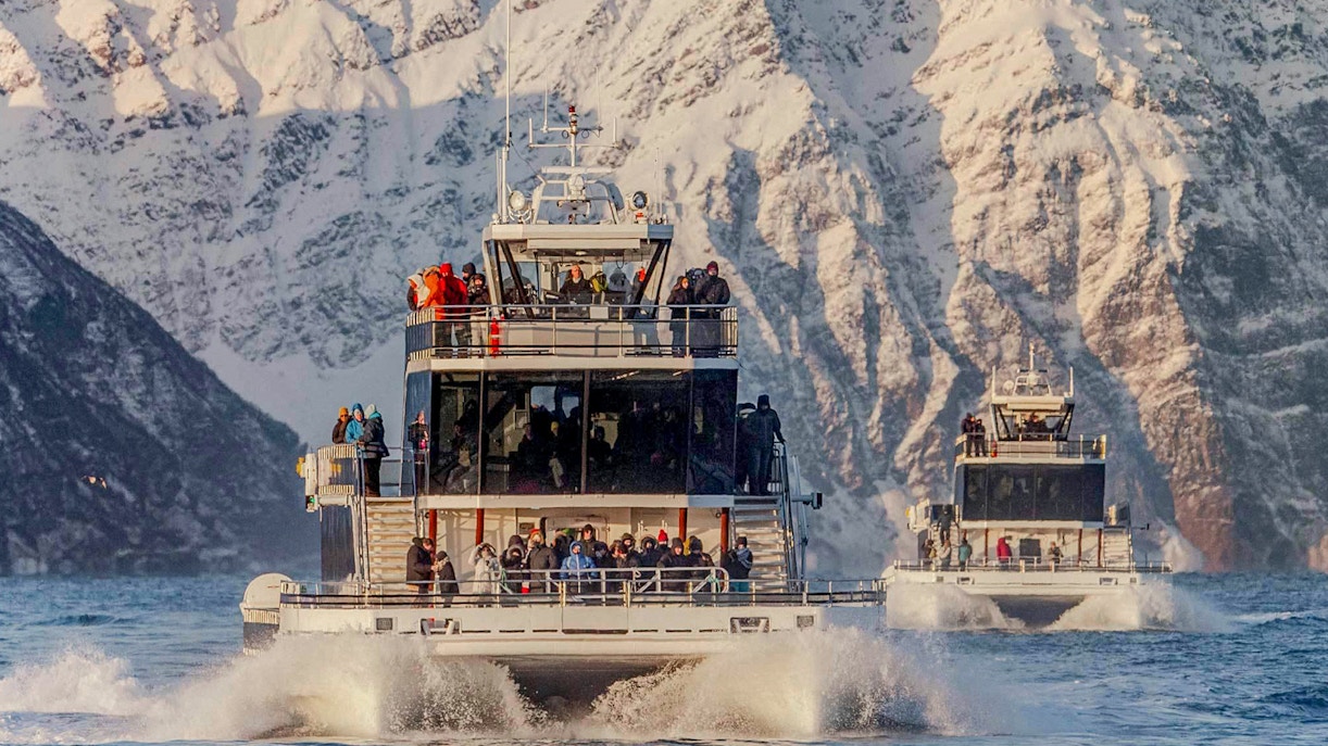 https://cdn-imgix.headout.com/media/images/40e03384640cd81077a2b80103b45d58-29459-tromso-full-day-silent-whale-watching-hybrid-electric-cruise-09.jpg