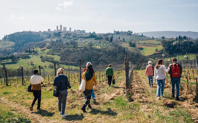 Tourists walking through a vineyard with San Gimignano towers in the background, Tuscany.