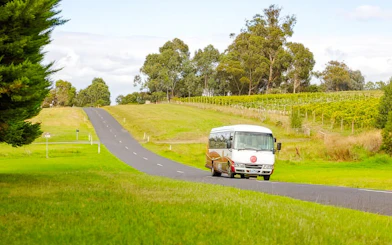 From Melbourne: Yarra Valley Wine Tour with 4 Wineries Visits and Gourmet Lunch at Balgownie Estate