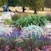 Kensington Gardens