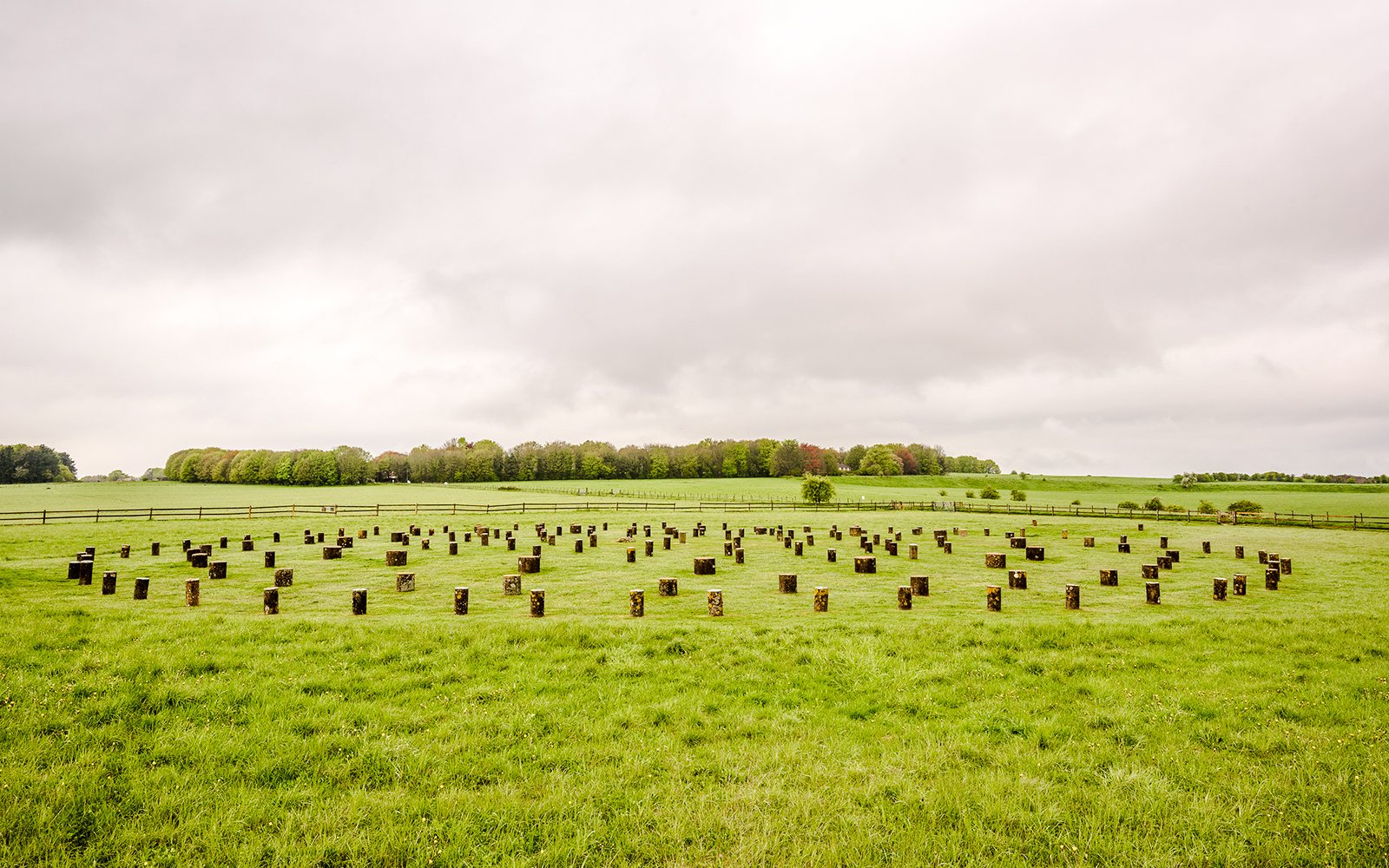 Woodhenge monument with wooden posts arranged in a circular pattern on a grassy field.