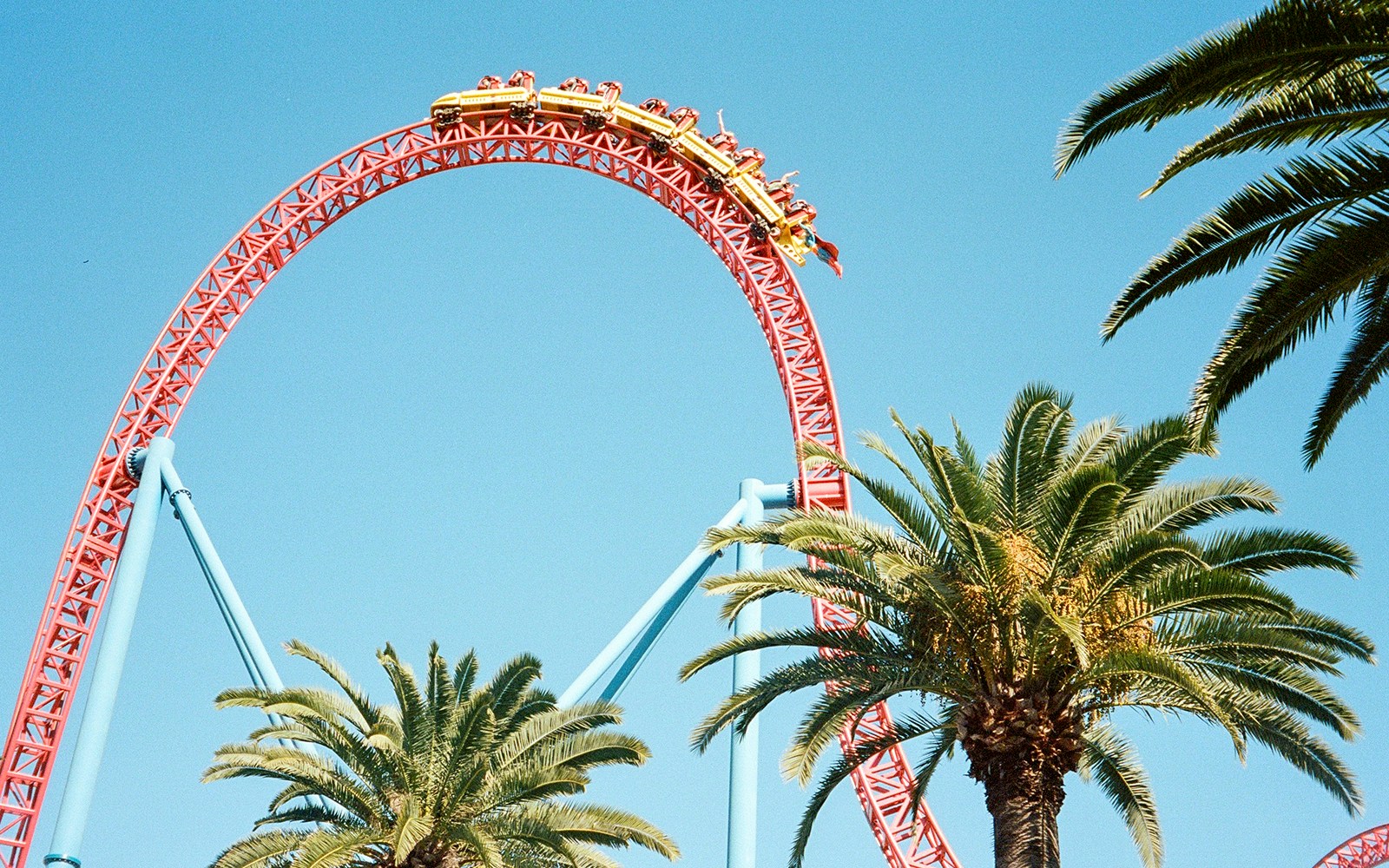 A rollercoaster at Warner Bros Movie World