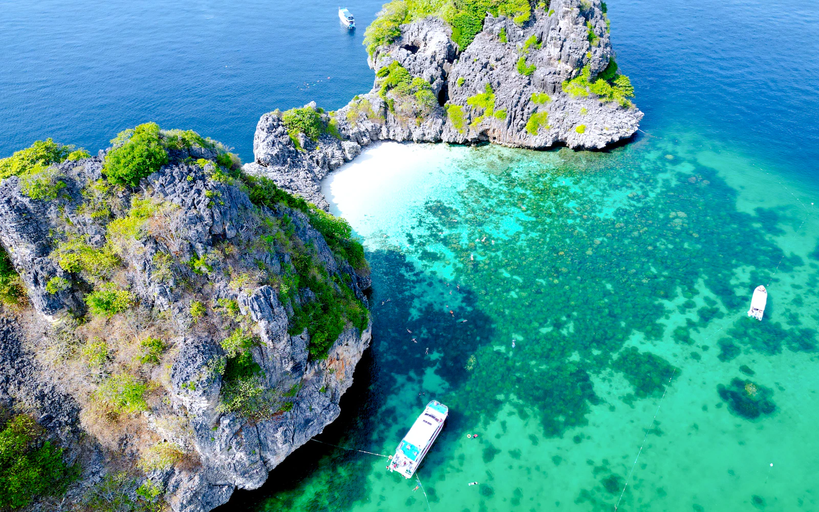From Koh Lanta: Koh Rok & Koh Haa Speedboat Snorkeling Tour With Lunch Buffet Image 12
