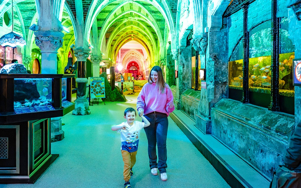 Guests exploring SEA Life Brighton's illuminated aquarium corridor.