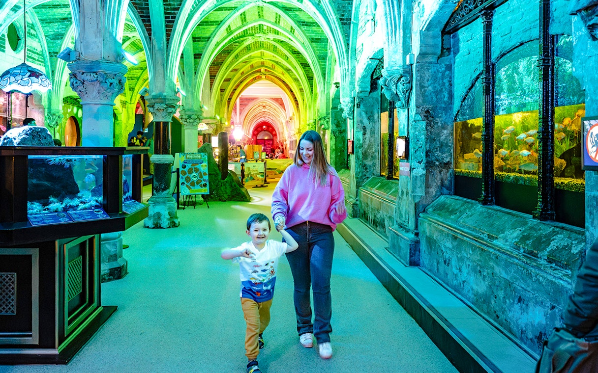 Guests exploring SEA Life Brighton's illuminated aquarium corridor.