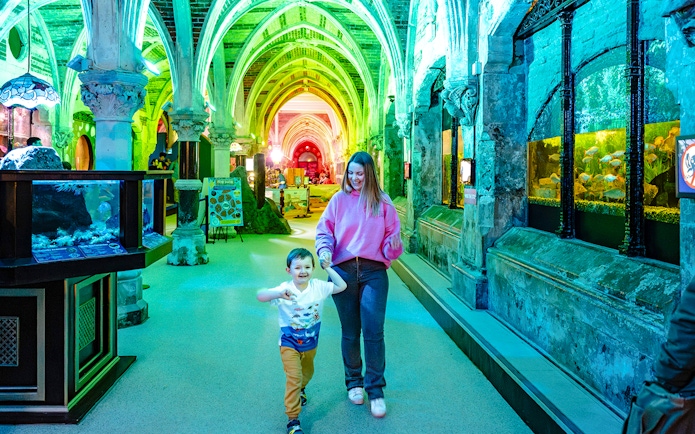 Guests exploring SEA Life Brighton's illuminated aquarium corridor.
