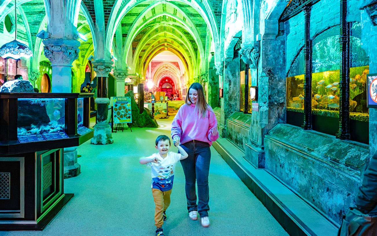 Guests exploring SEA Life Brighton's illuminated aquarium corridor.