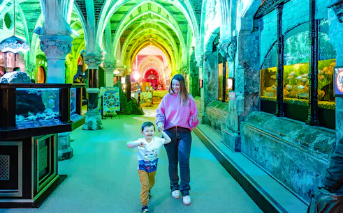 Guests exploring SEA Life Brighton's illuminated aquarium corridor.