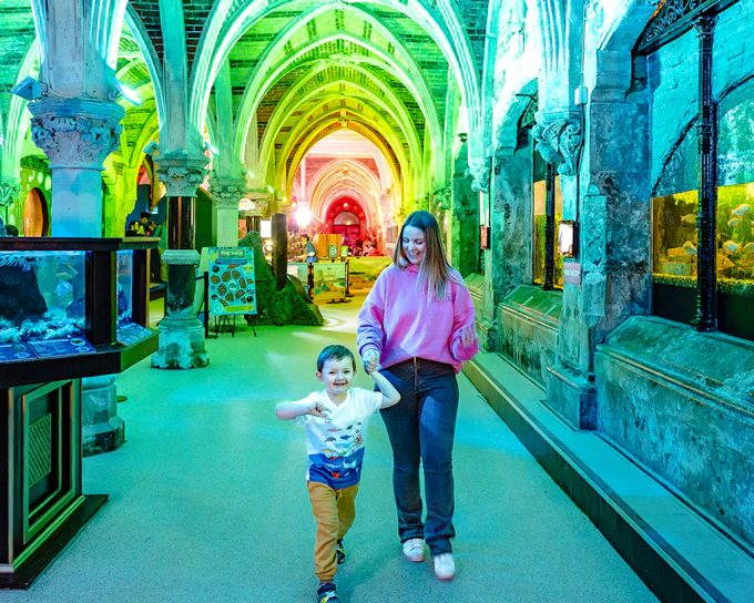 SEA LIFE Brighton: Anytime Entry Ticket