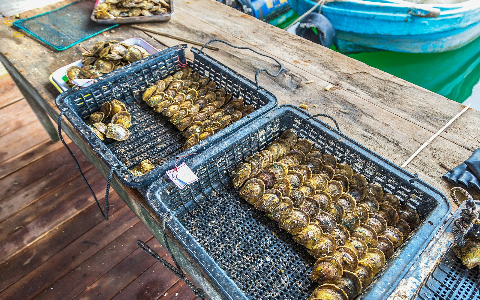 Oyster baskets on a wooden dock during Ha Long Phoenix Cruise in Halong Bay, Vietnam.