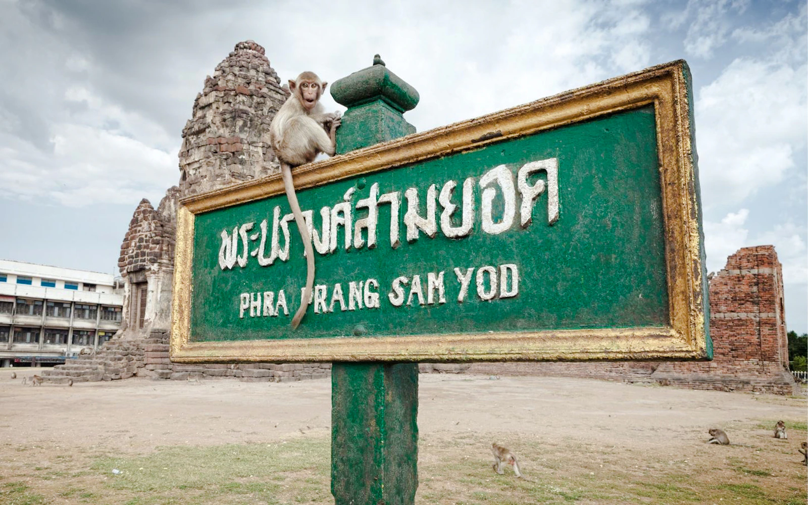 From Bangkok: Ayutthaya Historical Park and Lopburi Monkey Temple Small-Group Tour Image 2