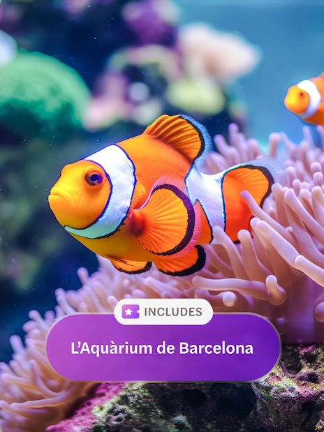 Clownfish swimming among anemones at L'Aquarium de Barcelona.