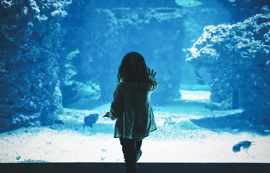 Zoo Aquarium Madrid tickets