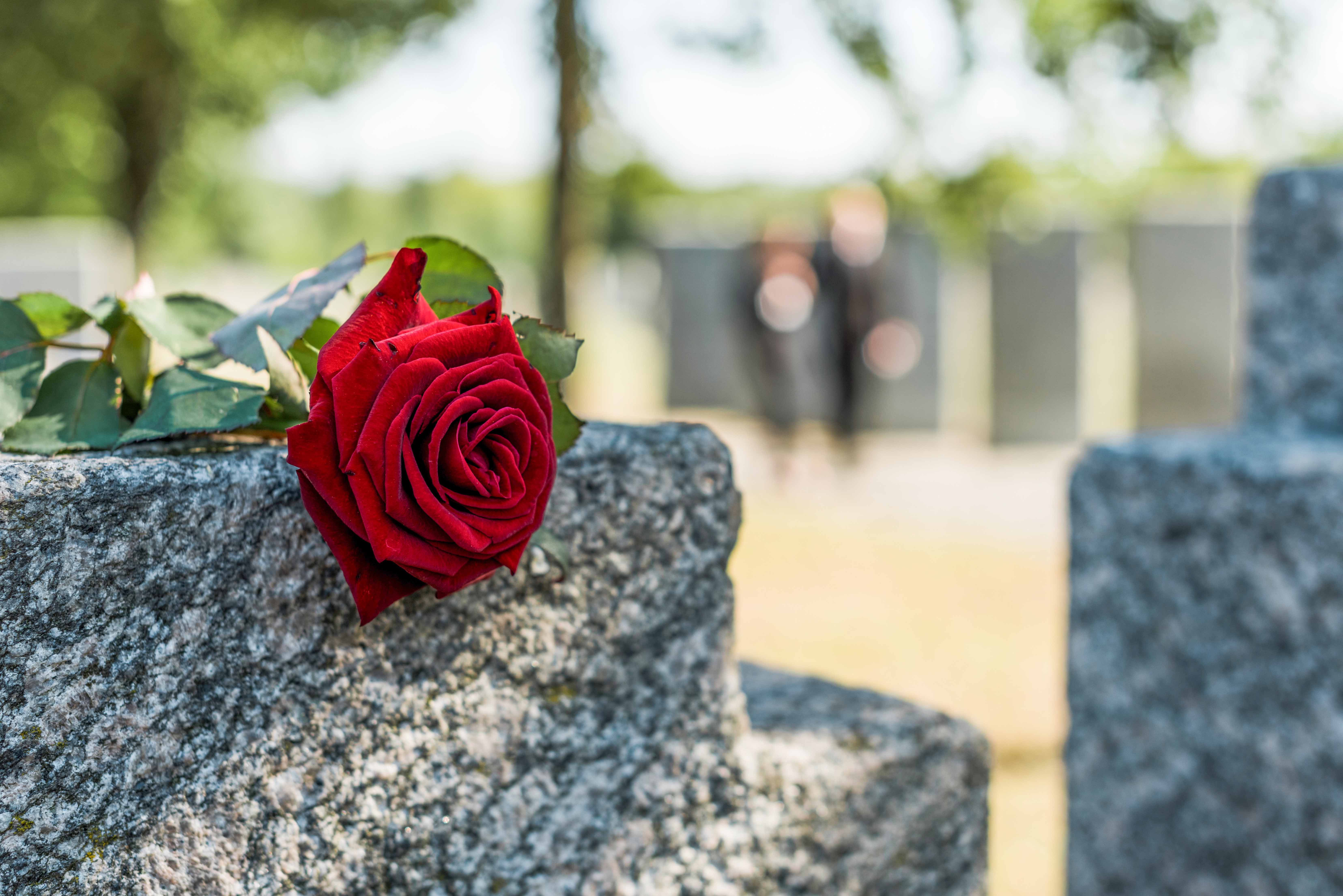 Memorial Glade at the 9/11 Memorial