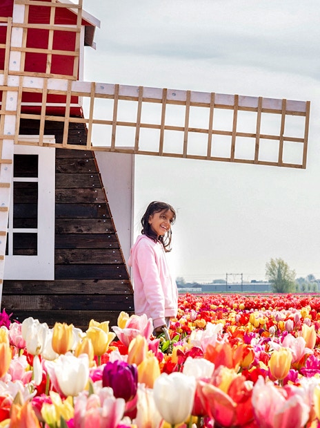 Girl smiling in tulip fields near a windmill at Keukenhof, Netherlands.