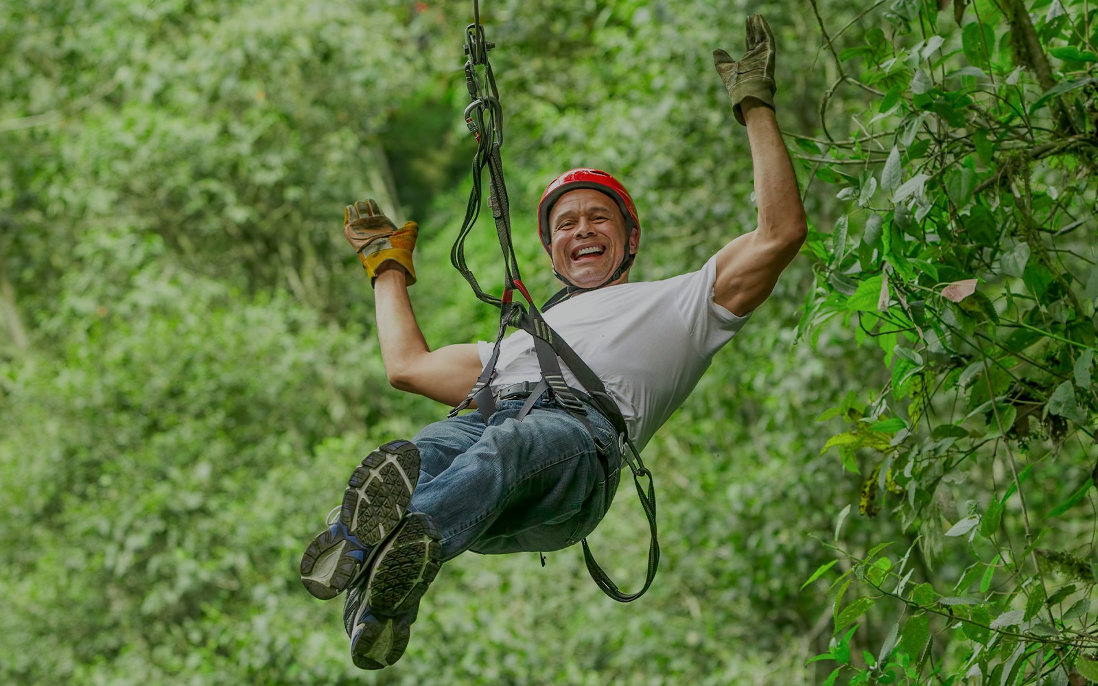 Person ziplining through lush forest at Waitomo Caves Zipline Park.
