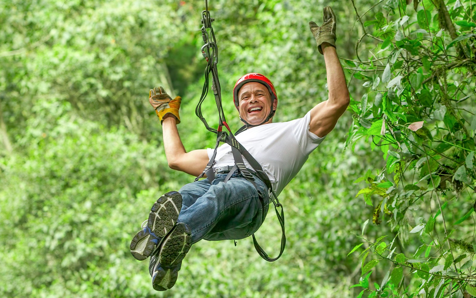 Person ziplining through lush forest at Waitomo Caves Zipline Park.