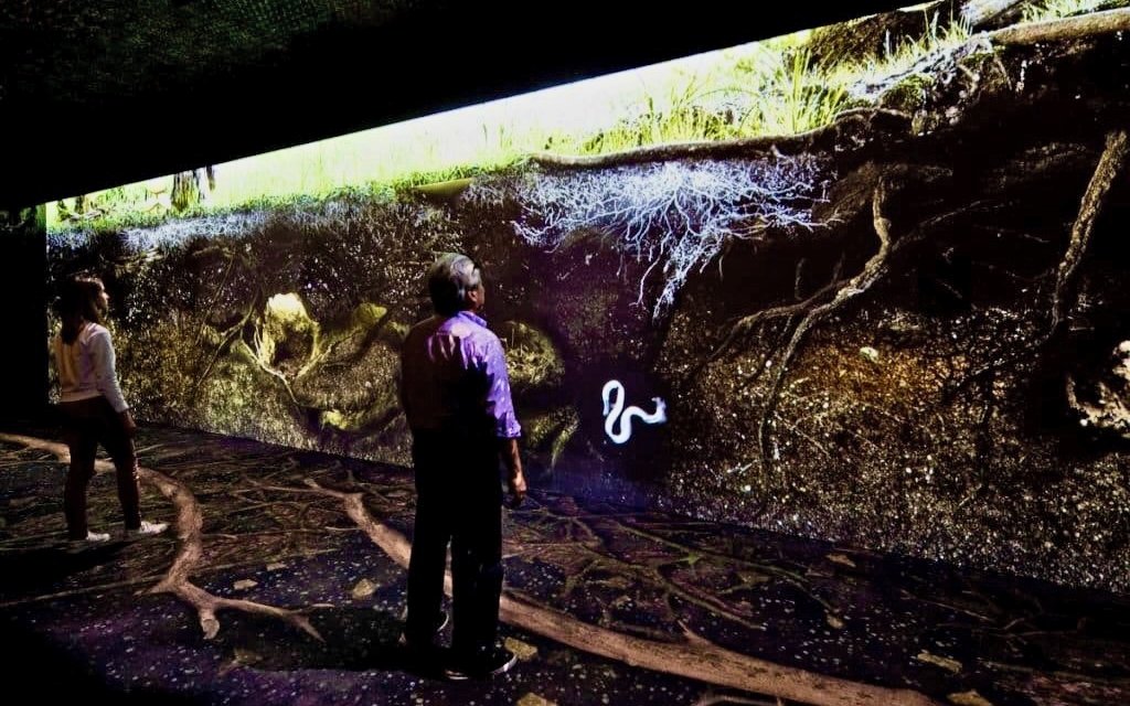 Visitors exploring underground ecosystem display at Vivid: Immerse Your Senses exhibit, California Academy of Sciences.