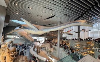 Dinosaur and marine life exhibits at Shanghai Natural History Museum.
