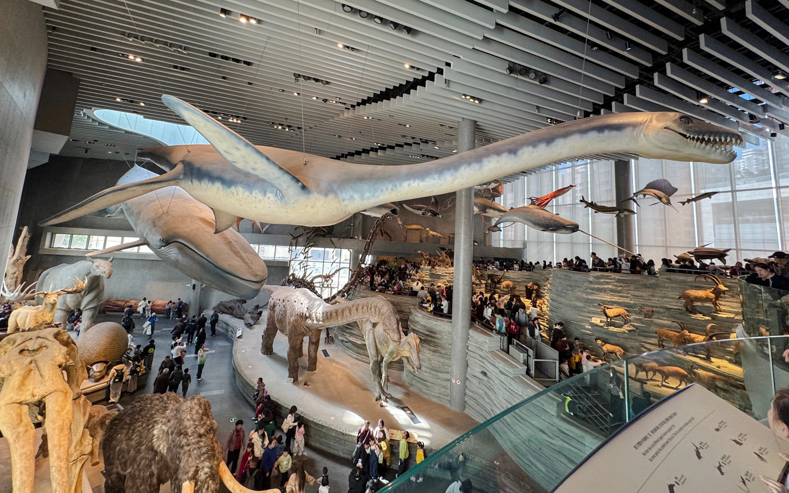 Shanghai Natural History Museum Entry Tickets (Product 55663)