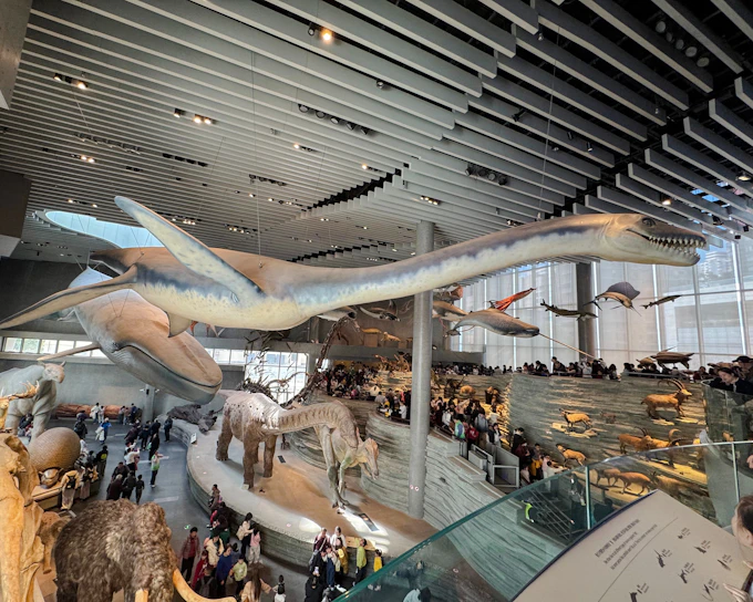 Shanghai Natural History Museum Entry Tickets (Product 55663)