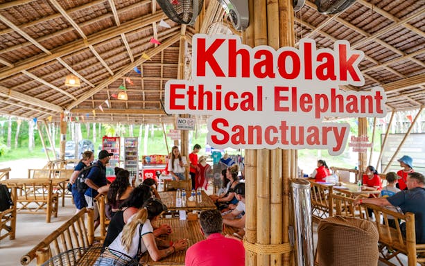 Visitors gathered at Khaolak Ethical Elephant Sanctuary for a talk.