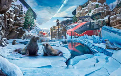 Seals on ice at the polar habitat in SeaWorld Abu Dhabi, with rocky cliffs and water.