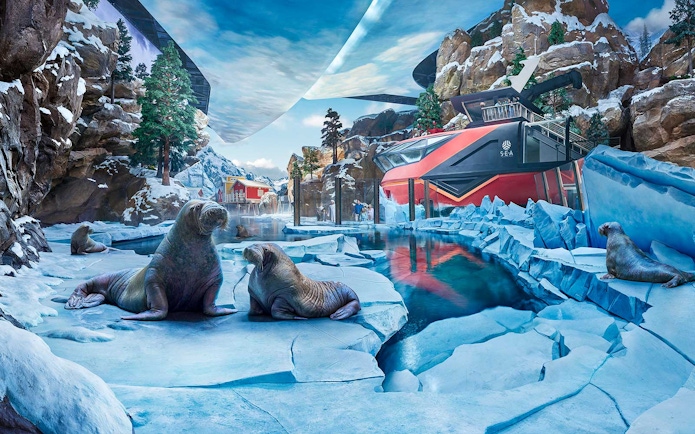 Seals on ice at the polar habitat in SeaWorld Abu Dhabi, with rocky cliffs and water.