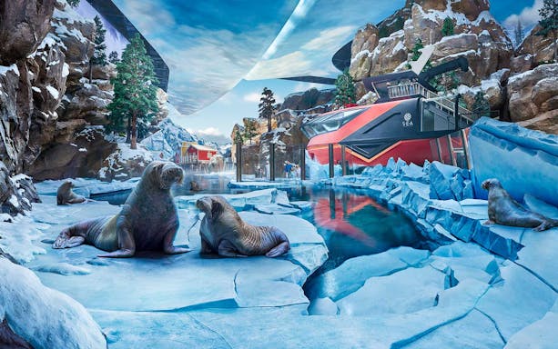 Seals on ice at the polar habitat in SeaWorld Abu Dhabi, with rocky cliffs and water.