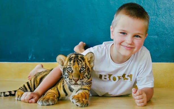 Child interacting with a tiger cub at Tiger Park Phuket.