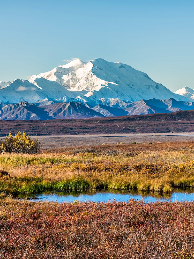 Hiking in Denali National Park, Alaska