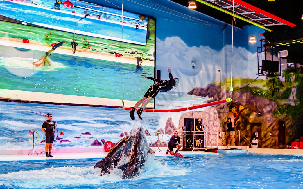 Dolphin leaping with trainer at Dubai Dolphinarium show.