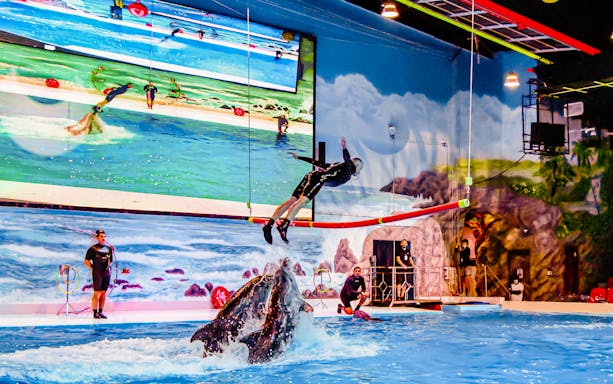 Dolphin leaping with trainer at Dubai Dolphinarium show.