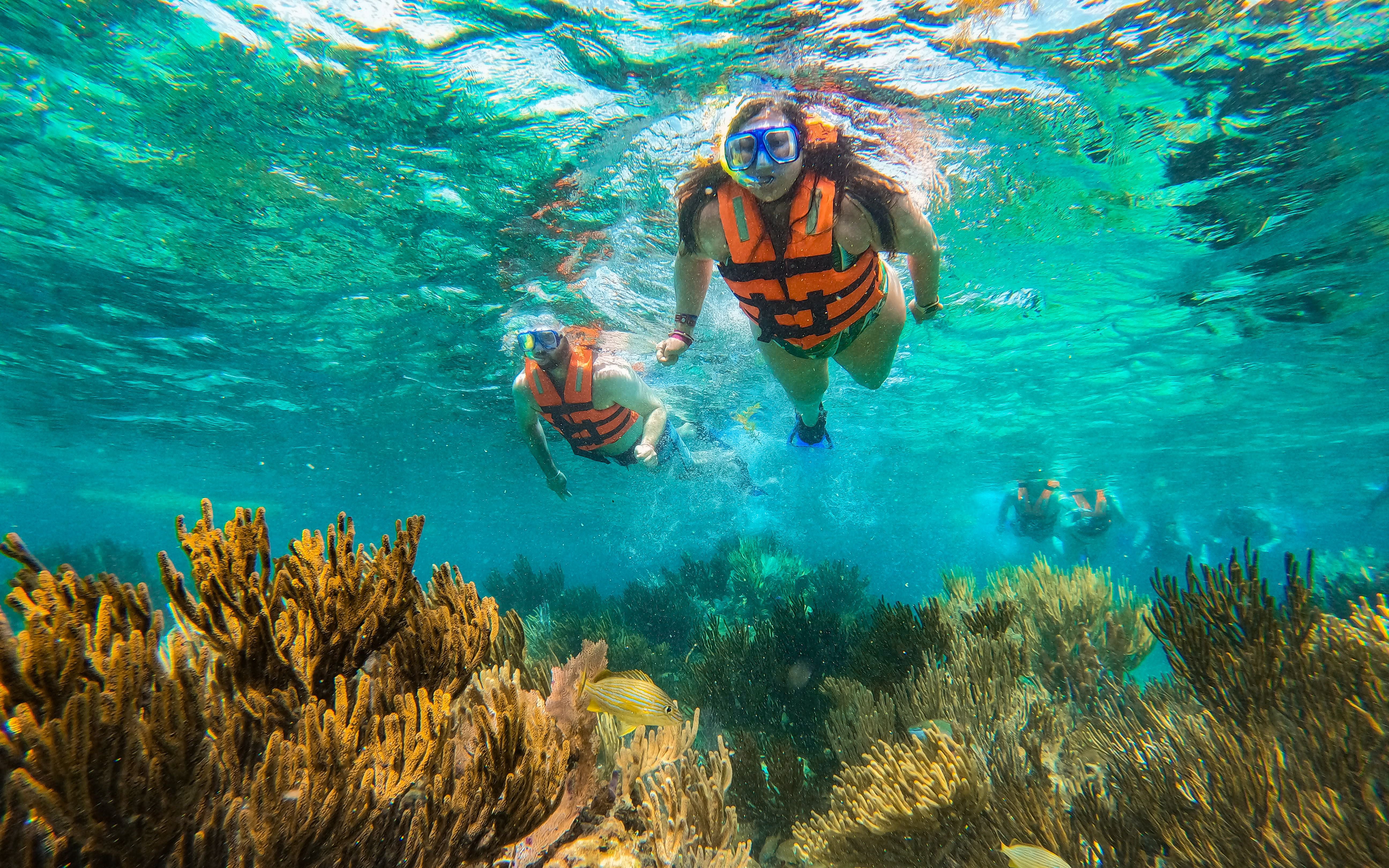 Visitors snorkeling in Marine National Park, Puerto Morelos, exploring Great Maya Reef.