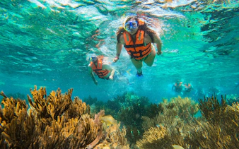 Visitors snorkeling in Marine National Park, Puerto Morelos, exploring Great Maya Reef.