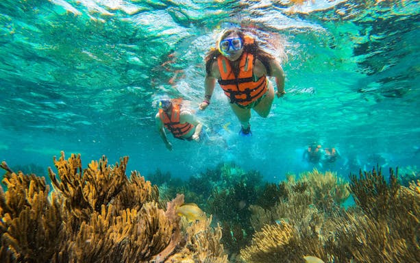 Visitors snorkeling in Marine National Park, Puerto Morelos, exploring Great Maya Reef.