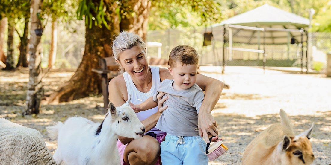 School Holiday Favorites in Sunshine Coast