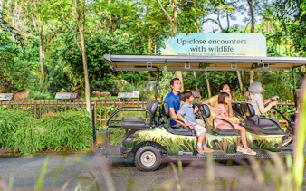 VIP walking tour group in a wildlife park, observing animals from a safari vehicle.