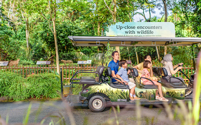VIP walking tour group in a wildlife park, observing animals from a safari vehicle.