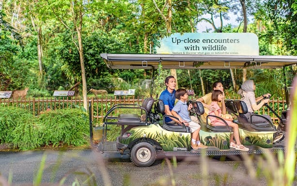 VIP walking tour group in a wildlife park, observing animals from a safari vehicle.