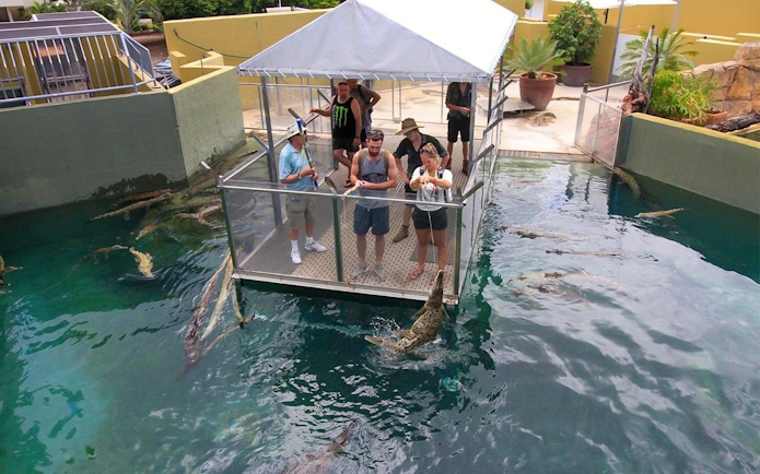 Visitors feeding crocodiles from a platform at Crocosaurus Cove, Darwin.