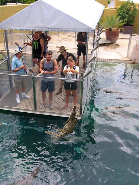 Visitors feeding crocodiles from a platform at Crocosaurus Cove, Darwin.