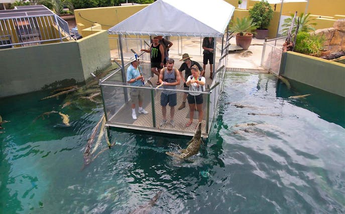 Visitors feeding crocodiles from a platform at Crocosaurus Cove, Darwin.
