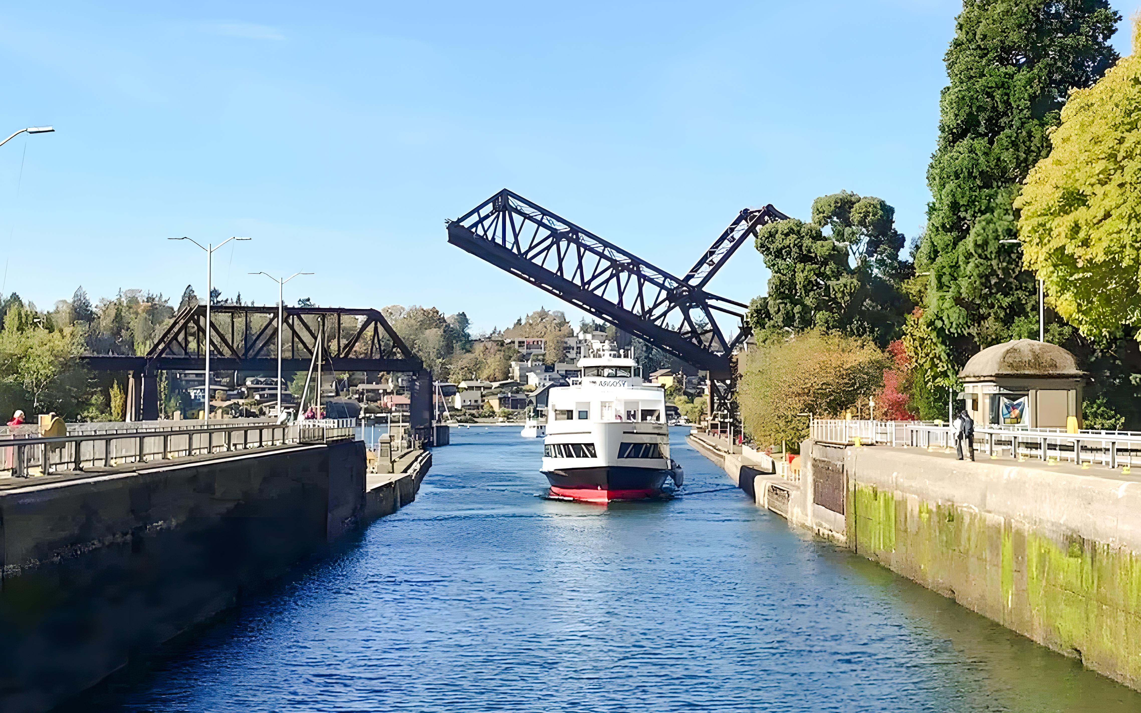 Cruise ship passing under Salmon Bay Bridge in Seattle locks.