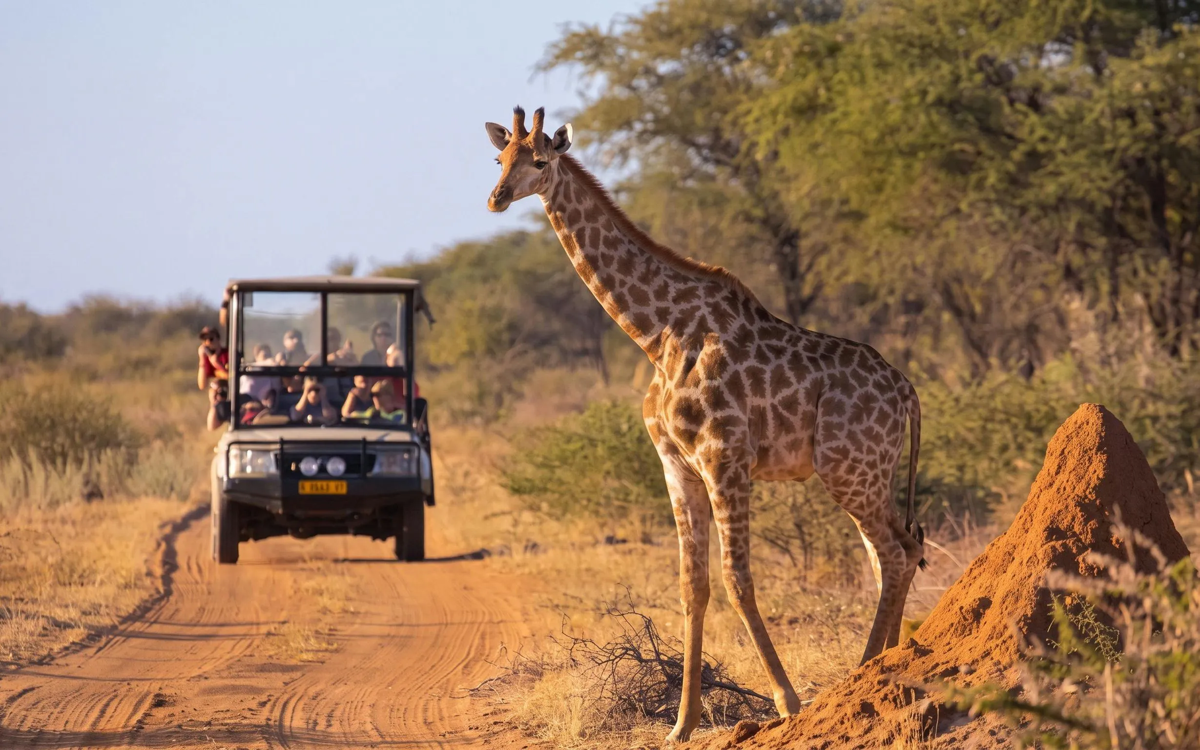 From Hazyview/Hoedspruit: Ultimate Full-Day Kruger Park Safari Drive