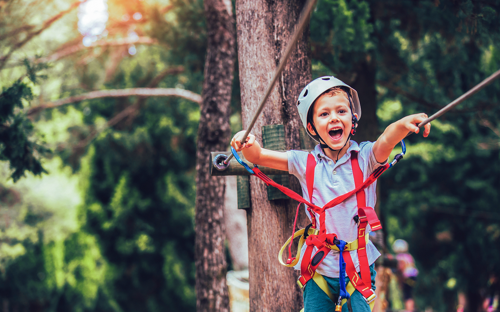 Little boy with helmet and safety equipment climbing a tree in an adventure activity park