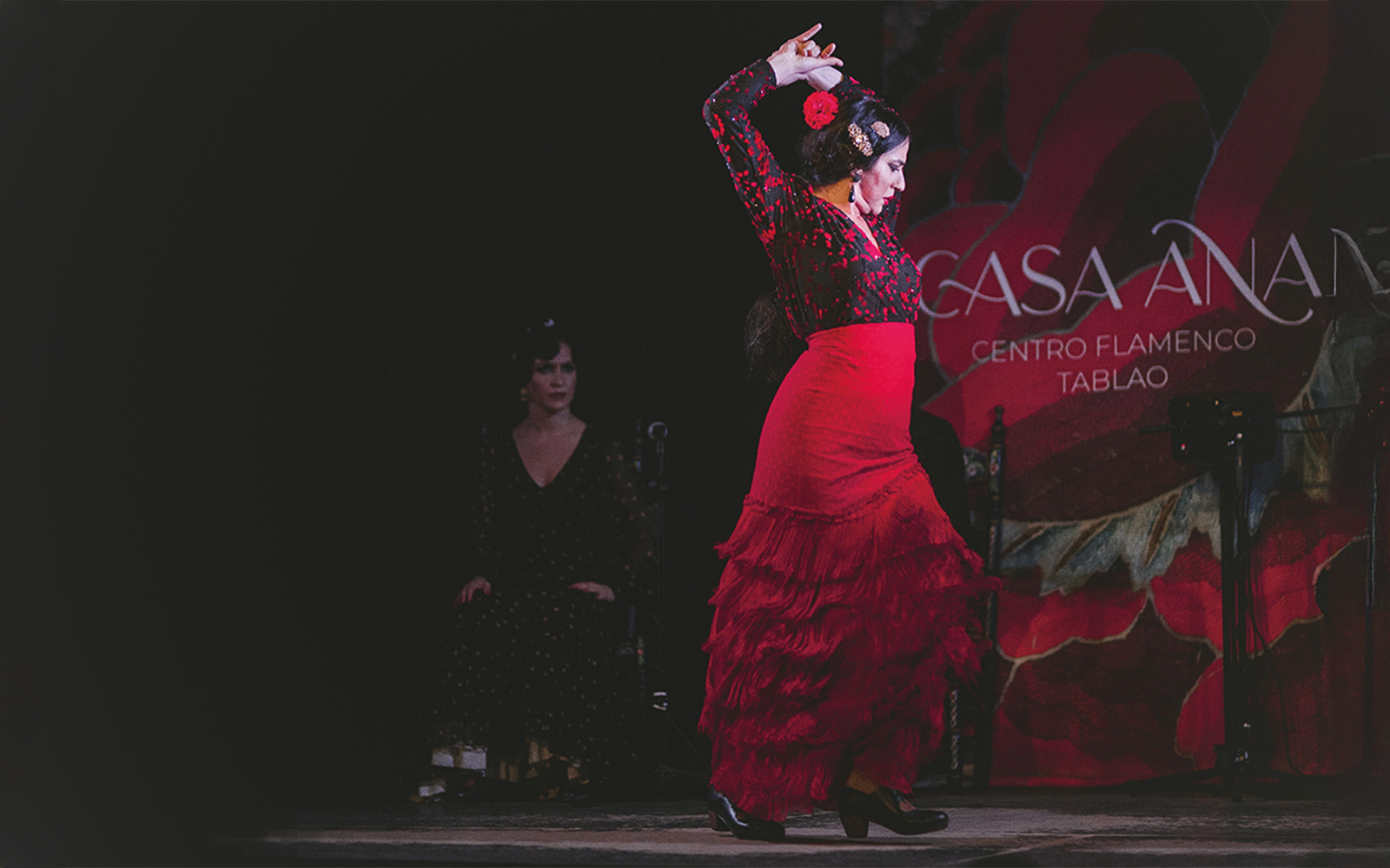 Flamenco dancer performing at Casa Ana Flamenco Show.
